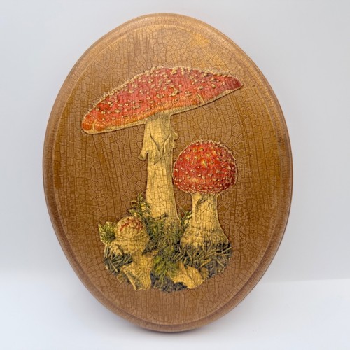 Vintage mushroom wood wall - mushroom,