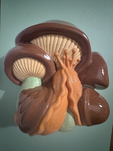 Arnels mushroom snail - 70’s,